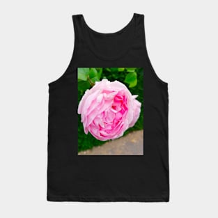 Lovely Soft Pink British Rose Tank Top